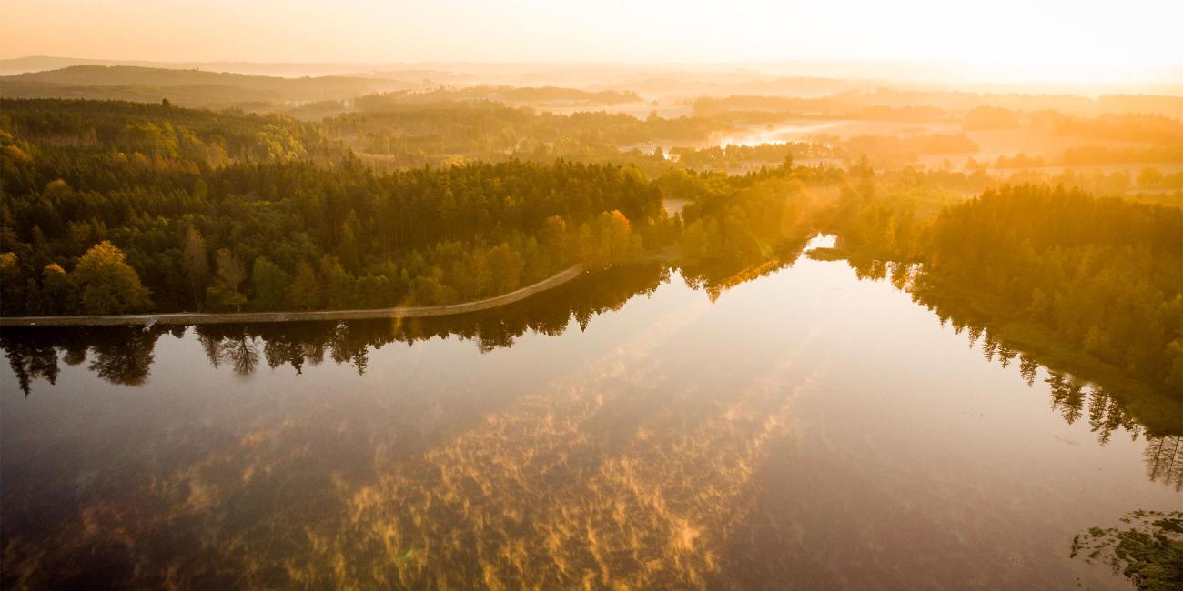 Velký pařezitý rybník je ideální místo ke koupání u Telče, pohled na rybník při západu slunce