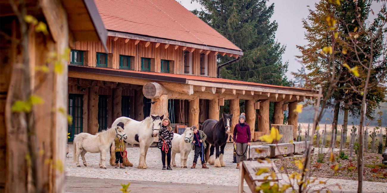 Kraj pod javořicí, Koně na Ranči v Telči