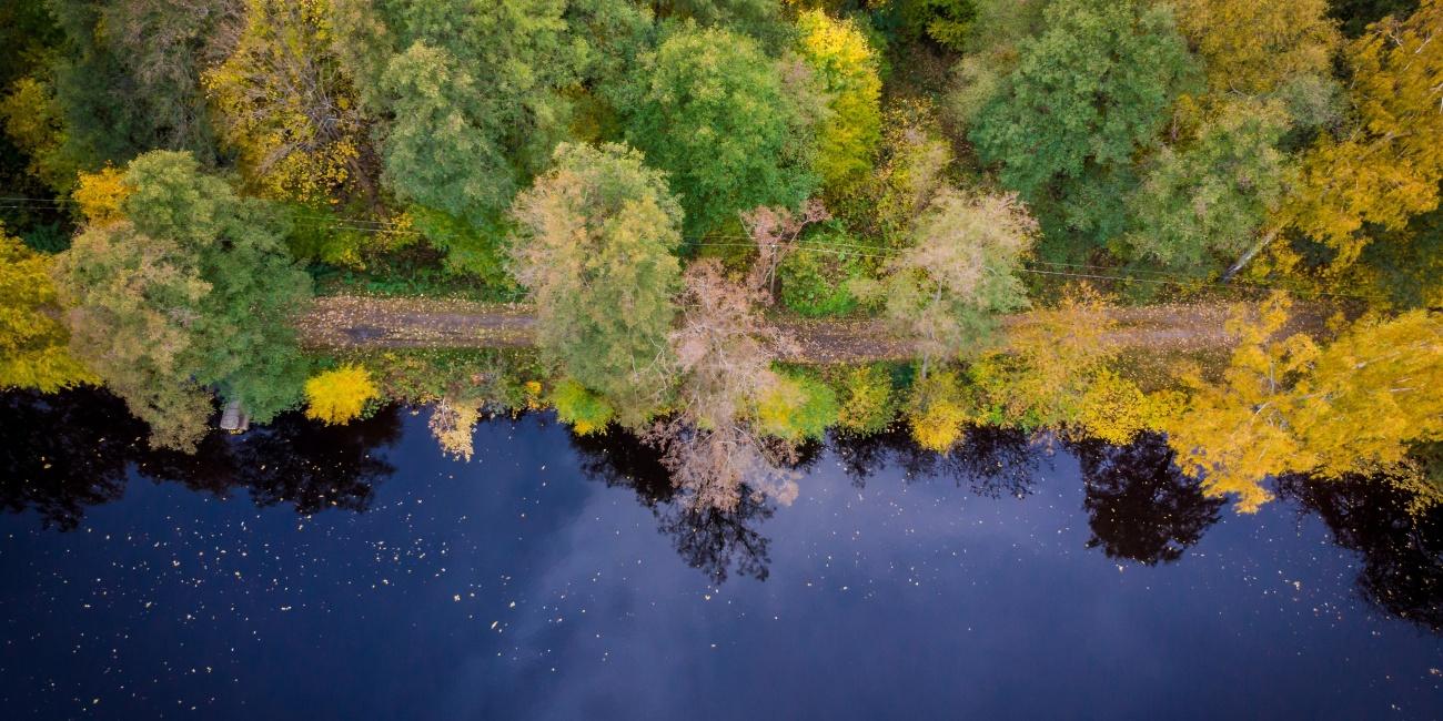 Cesta vede i po břehu Horního Mrzatce